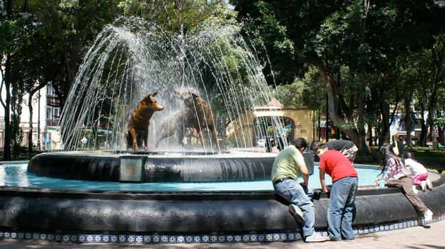 The main plaza in Coyoacán, showcasing the iconic fountain and vibrant atmosphere.